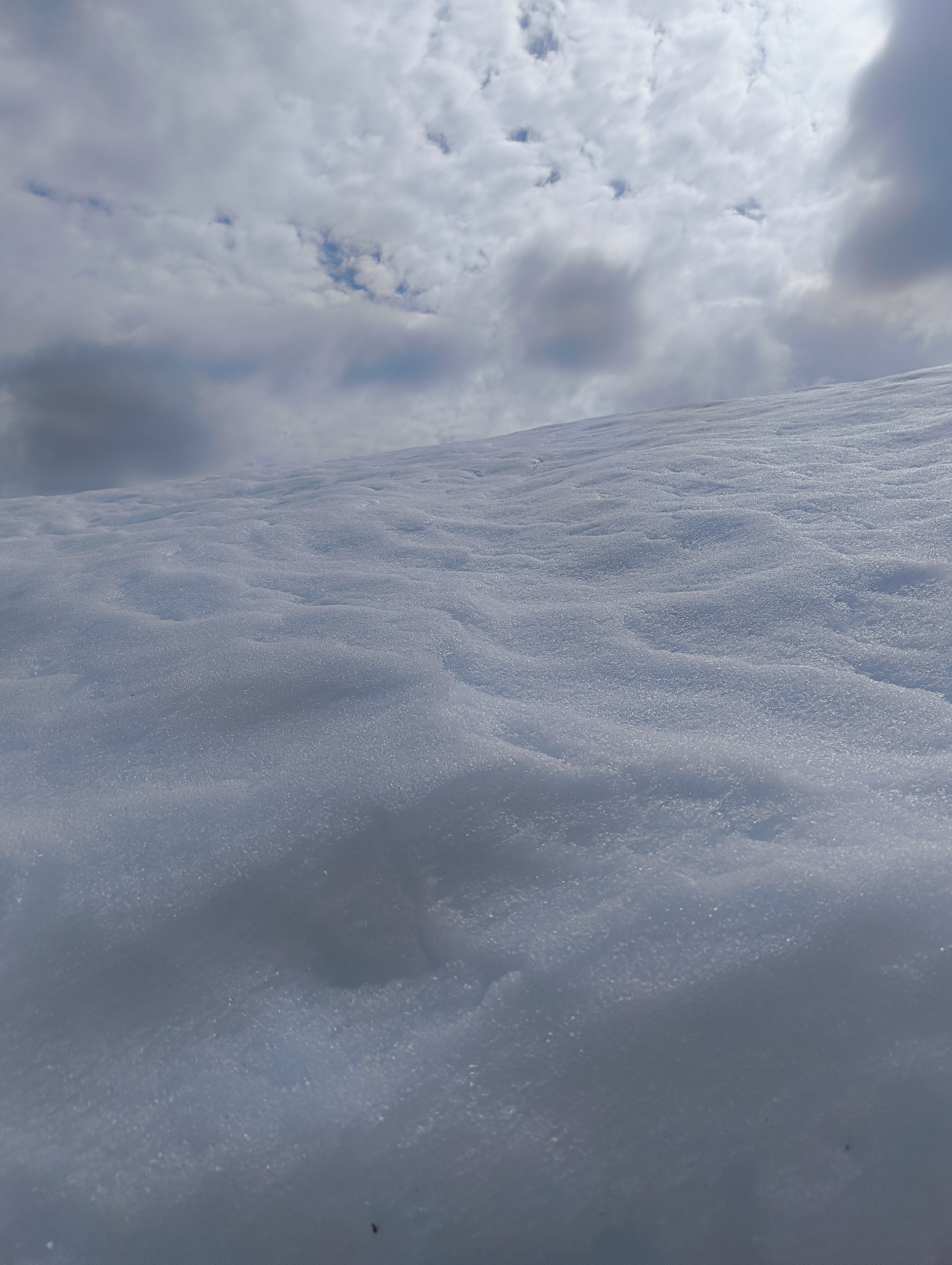 Foto n° 7 del trekking Bivacco del Gufo - Pizzo Pernice │ Alpe Curgei